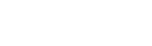 die-websiteprofis-logo-weiss